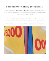 dokumentacja uszkodzen safari.png