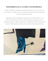 dokumentacja uszkodzen jada goscie.png