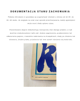 czlowiek ktorego dokumentacja uszkodzen.png