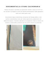 orbis dokumentacja uszkodzen.png