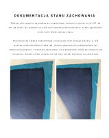 pan twardowski dokumentacja uszkodzen.png