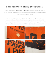 pancerni dokumentacja uszkodzen.png