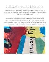 przygody buratina.png