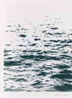 tarasin serigrafia 8