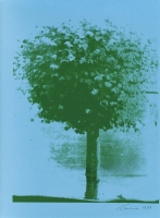 tarasin serigrafia 10.jpeg