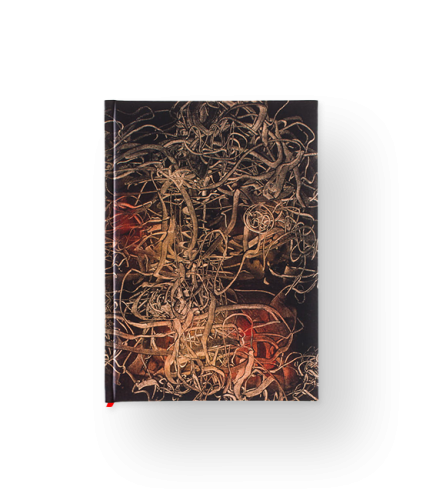 Alfred Lenica - Notes A4 _Labirynt_.png
