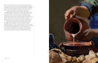 VERMEER zblizenia album.png