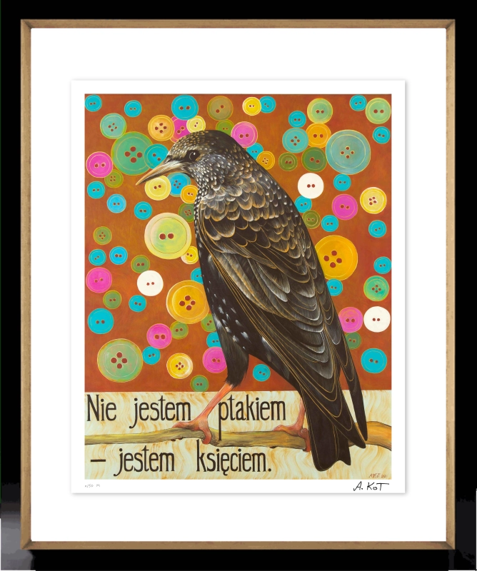 Adelajda Kot - Nie jestem ptakiem