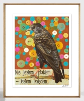 adelajda-kot---nie-jestem-ptakiem_prestige-biala-zlota_M_pion.png
