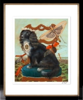 adelajda-kot---pere-ka_prestige-czarna-zlota_M_pion.png