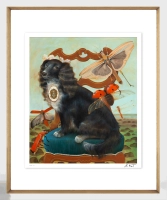 adelajda-kot---pere-ka_prestige-biala-zlota_M_pion.png