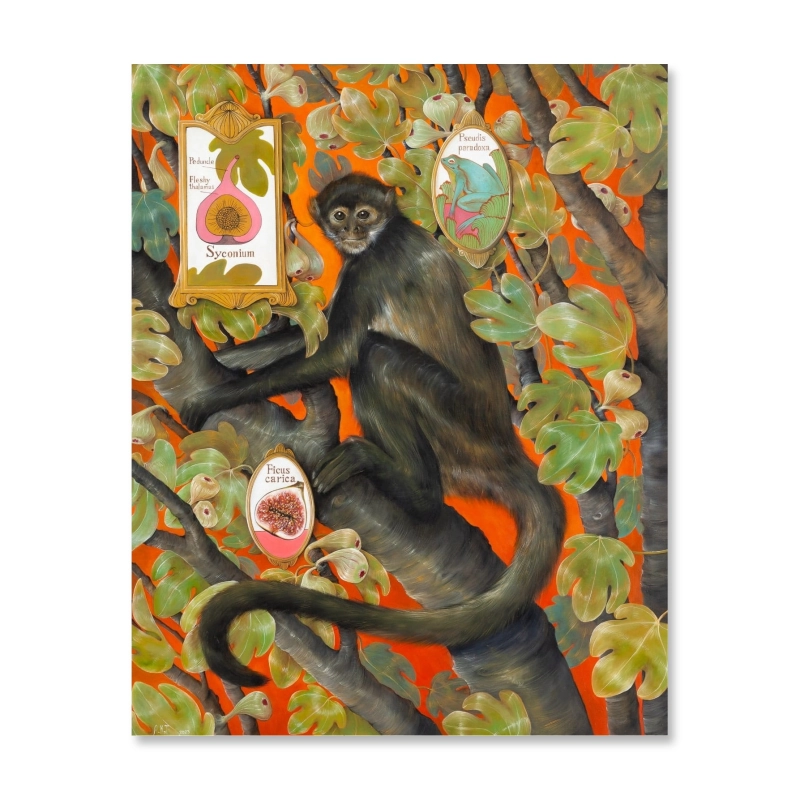 Adelajda Kot - Queer harlequin, 2023
