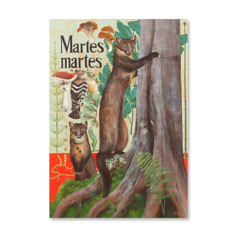 Adelajda Kot - The marten, 2021