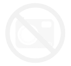 adelajda-kot---pere-ka_prestige-czarna-zlota_M_pion.png
