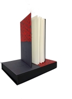 Narodziny plastyki monumentalnej_.jpg