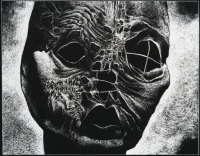 Bez tytułu (03) -S.jpg