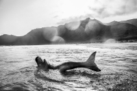 Szymon Brodziak_Syrena #09.jpg