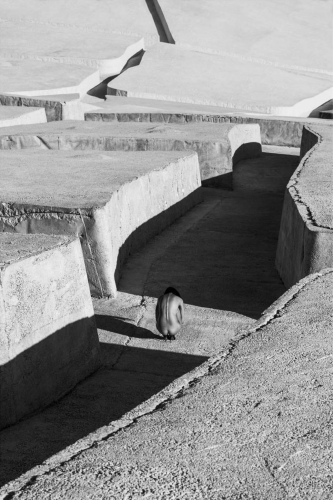 Szymon Brodziak_Labirynt #01.jpg