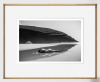 Szymon Brodziak Syrena #05 Rama Biała Złota Wkładka.jpg