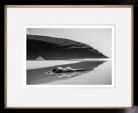 Szymon Brodziak Syrena #05 Rama Czarna Złota Wkładka.jpg