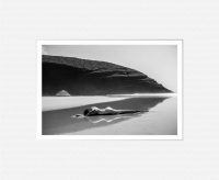 Szymon Brodziak Syrena #05 w passe-partout.jpg