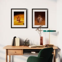 Kolekcja Diuna Wojciecha Siudmaka,, S.jpg